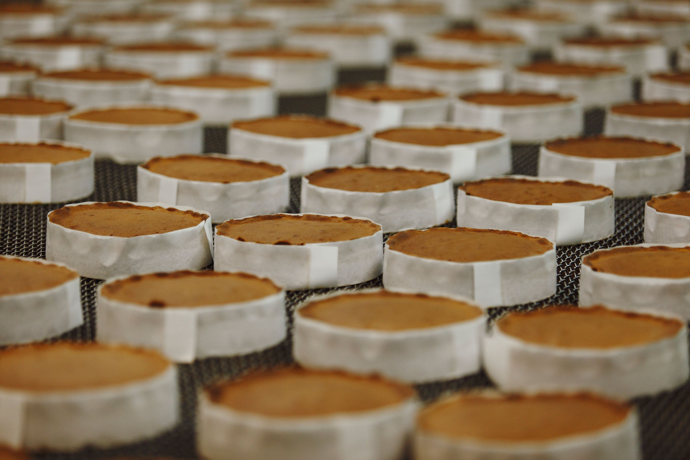 しぃさん専用ページ ⭐おともだち紹介⭐しほちゃん⭐ - JENNI SHOP BLOG